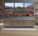 University of Illinois Fighting Illini Football Team Print by MyGreatCanvas | Canvas Wall Art Prints | Photo Prints & Wall Decor