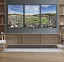 University of Charlotte 49ers Football Team Print - by MyGreatCanvas | Canvas Wall Art Prints | Photo Prints & Wall Decor