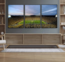 Michigan Stadium Wall Art Canvas Print, Vibrant Game Day by MyGreatCanvas | Canvas Wall Art Prints | Photo Prints & Wall Decor