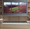 University of Nebraska Cornhuskers Football Team Print -