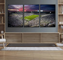 Penn State Nittany Lions Football Team Print - University
