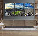 Framed USF Bulls Football Team Print - Tampa Raymond James by MyGreatCanvas | Canvas Wall Art Prints | Photo Prints & Wall Decor