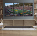 University of California Golden Bears Football Team Print - by MyGreatCanvas | Canvas Wall Art Prints | Photo Prints & Wall Decor