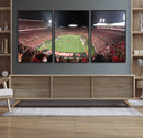 University of Louisville Cardinals Football Team Print - by MyGreatCanvas | Canvas Wall Art Prints | Photo Prints & Wall Decor