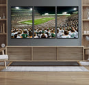Michigan State Spartans Football Canvas Print - East Lansing