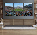 Michigan State Spartans Football Team Art Print - East