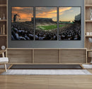 Michigan State Spartans Football Team Print - East Lansing