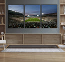 Michigan State Spartans Football Team Print - East Lansing