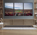 University of Minnesota Golden Gophers Football Team Print - by MyGreatCanvas | Canvas Wall Art Prints | Photo Prints & Wall Decor