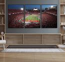 Ohio State University Buckeyes Football Team Print -