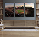 Ohio State University Buckeyes Football Team Print -