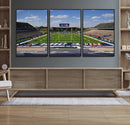 Rice University Owls Football Team Print - Houston Rice by MyGreatCanvas | Canvas Wall Art Prints | Photo Prints & Wall Decor