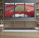 Rutgers Scarlet Knights Football Team Print - Piscataway SHI by MyGreatCanvas | Canvas Wall Art Prints | Photo Prints & Wall Decor