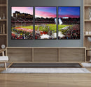 Stanford University Cardinal Football Team Print - Stanford