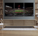 Framed Texas Tech Red Raiders Stadium Canvas, Texas Tech Red