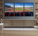 Ball State Cardinals Football Team Print - Muncie Scheumann