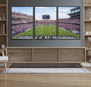 TCU Horned Frogs Football Team Print - Fort Worth Amon G.