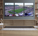 The Texas Christian University TCU Horned Frogs Football