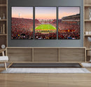 The University of Southern California USC Trojans Football by MyGreatCanvas | Canvas Wall Art Prints | Photo Prints & Wall Decor