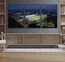 The University of South Florida Bulls Football Team Print - by MyGreatCanvas | Canvas Wall Art Prints | Photo Prints & Wall Decor