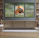 Heartwarming Fox and Baby Cub Wall Art | Ready to Hang