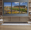 University of Wyoming Cowboys Football Team Print - Laramie