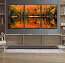 Forest Reflection Art | Autumn Forest Reflection Wall Art | by MyGreatCanvas | Canvas Wall Art Prints | Photo Prints & Wall Decor