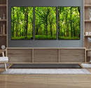 Lush Green Forest Canvas Print | 3-Panel Forest Wall Art |