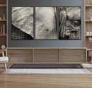 Elephant Wall Art Canvas Print