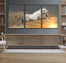 Large Wall Art Canvas Print – White Jumping Horse Sunset