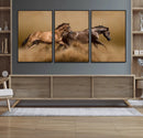 Large Wall Art Canvas Print – Two Running Brown Horses