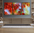 Red Leaves Autumn Forest Wall Art Canvas, Red Leaves Autumn by MyGreatCanvas | Canvas Wall Art Prints | Photo Prints & Wall Decor
