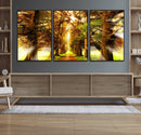 Sunshine in Forest and Trees Wall Art Canvas Print by MyGreatCanvas | Canvas Wall Art Prints | Photo Prints & Wall Decor