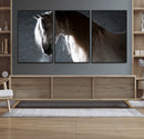 Large Wall Art Cream Colored Horse on Grey Background Canvas