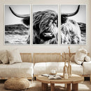 Black and White Scottish Cow Canvas Wall Art Highland Cattle