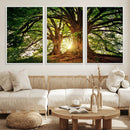 Majestic Ancient Tree Wall Art, NatureCanvas Print, Woodland by MyGreatCanvas | Canvas Wall Art Prints | Photo Prints & Wall Decor