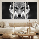 Black and White Wild Wolf Wall Art Canvas Print