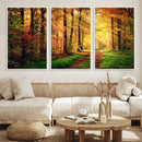 Sunlight Through Trees Wall Art Canvas Print - Autumn Forest