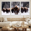 Bison Wall Art Canvas Print- Bison Herd Canvas Wall Art –