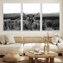 Black and White Highland Cow Canvas Wall Art, Longhorn by MyGreatCanvas | Canvas Wall Art Prints | Photo Prints & Wall Decor