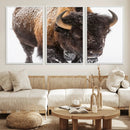 Bison Wall Art Canvas Print For Farmhouse, Wild Animal Wall by MyGreatCanvas | Canvas Wall Art Prints | Photo Prints & Wall Decor