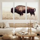 Bison in Field Wall Art Canvas Print For Farmhouse Barn