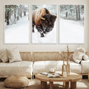 Bison Wall Art Canvas Print For Farmhouse, Animal Canvas