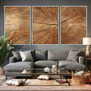 Tree Ring Canvas Art, Rustic Wood Grain Wall Art, Tree Slice