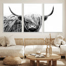Black White Scottish Highland Cow Cattle Art Print Farmhouse