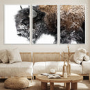 American Bison Wall Art Print – Majestic Buffalo Canvas