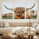 Highland Cow Animal Scottish Cattle Art Print Farmhouse Wall