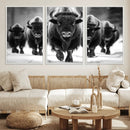 American Bison Art | Buffalo Herd Wall Art Canvas Print, BW