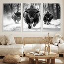 Buffalo Wall Art Canvas Print, Bison Family Wall Art Canvas by MyGreatCanvas | Canvas Wall Art Prints | Photo Prints & Wall Decor