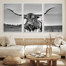 Texas Longhorn Cow Wall Art, Texas Longhorn Canvas, Cattle